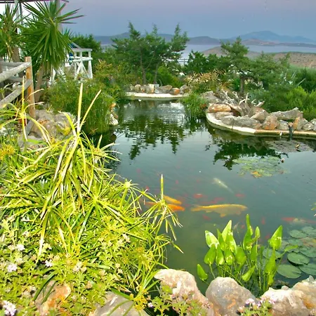 Zografos Ираклия